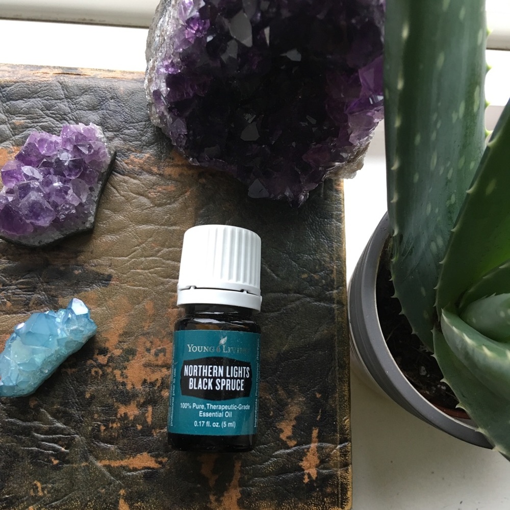 Black spruce essential oil young living